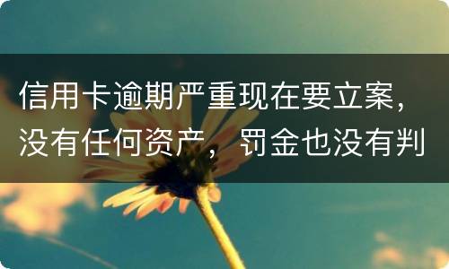 信用卡逾期严重现在要立案，没有任何资产，罚金也没有判刑出来后怎么处理