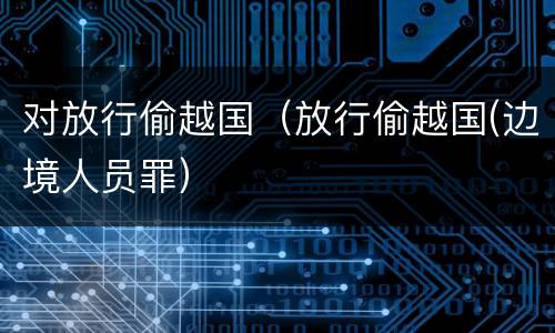 对放行偷越国（放行偷越国(边境人员罪）