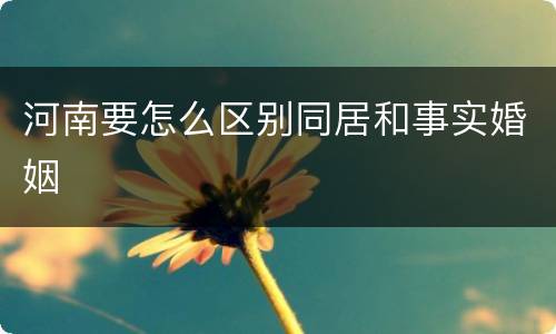 河南要怎么区别同居和事实婚姻