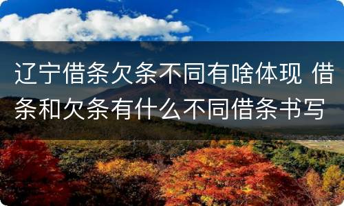 辽宁借条欠条不同有啥体现 借条和欠条有什么不同借条书写