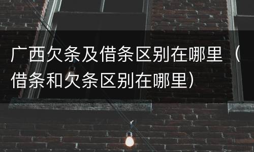广西欠条及借条区别在哪里（借条和欠条区别在哪里）