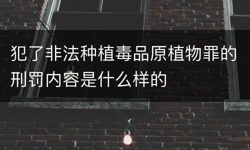 犯了非法种植毒品原植物罪的刑罚内容是什么样的