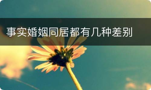 事实婚姻同居都有几种差别