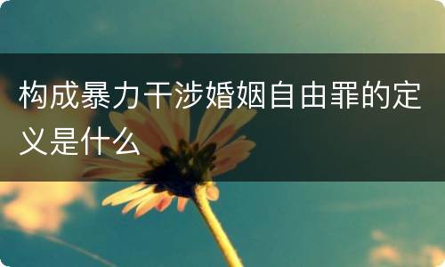 构成暴力干涉婚姻自由罪的定义是什么