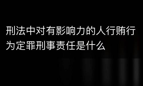 刑法中对有影响力的人行贿行为定罪刑事责任是什么