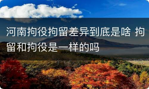 河南拘役拘留差异到底是啥 拘留和拘役是一样的吗