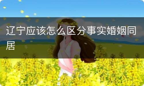 辽宁应该怎么区分事实婚姻同居