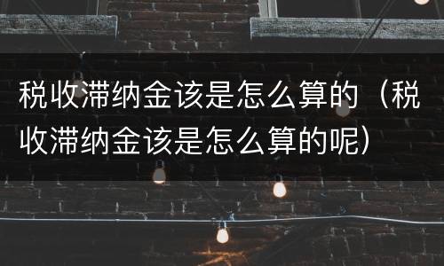 税收滞纳金该是怎么算的（税收滞纳金该是怎么算的呢）