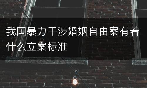 我国暴力干涉婚姻自由案有着什么立案标准