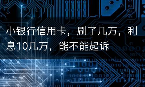 小银行信用卡，刷了几万，利息10几万，能不能起诉