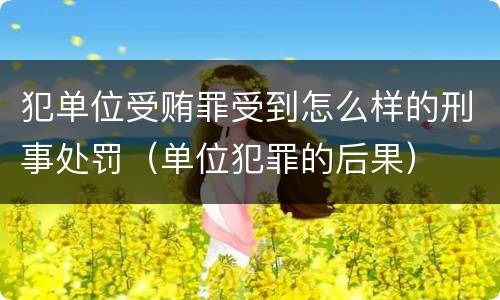 犯单位受贿罪受到怎么样的刑事处罚（单位犯罪的后果）