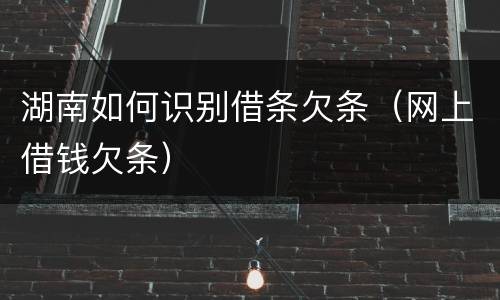 湖南如何识别借条欠条（网上借钱欠条）