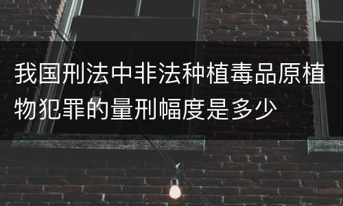 我国刑法中非法种植毒品原植物犯罪的量刑幅度是多少