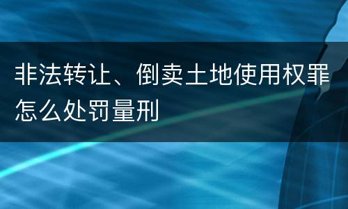 非法转让、倒卖土地使用权罪怎么处罚量刑