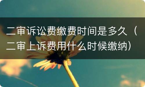 二审诉讼费缴费时间是多久（二审上诉费用什么时候缴纳）