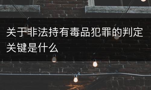 关于非法持有毒品犯罪的判定关键是什么