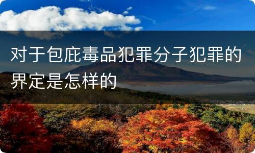 对于包庇毒品犯罪分子犯罪的界定是怎样的