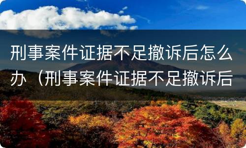 刑事案件证据不足撤诉后怎么办（刑事案件证据不足撤诉后怎么办理）