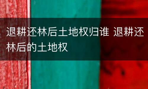 退耕还林后土地权归谁 退耕还林后的土地权