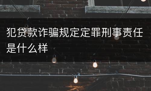 犯贷款诈骗规定定罪刑事责任是什么样