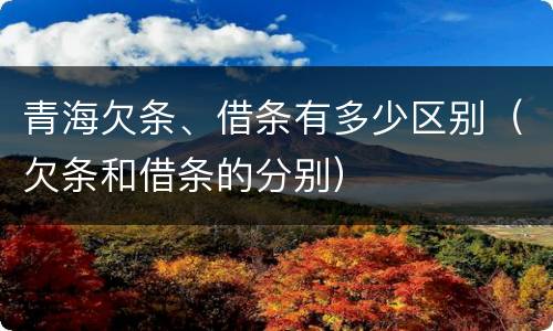 青海欠条、借条有多少区别（欠条和借条的分别）