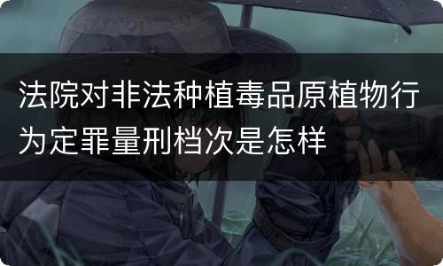 法院对非法种植毒品原植物行为定罪量刑档次是怎样