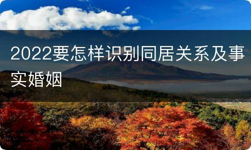 2022要怎样识别同居关系及事实婚姻