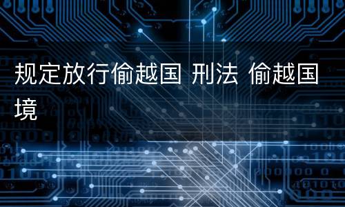 规定放行偷越国 刑法 偷越国境