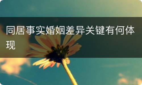同居事实婚姻差异关键有何体现