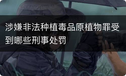 涉嫌非法种植毒品原植物罪受到哪些刑事处罚