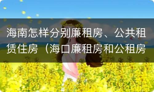 海南怎样分别廉租房、公共租赁住房（海口廉租房和公租房的区别）