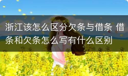 浙江该怎么区分欠条与借条 借条和欠条怎么写有什么区别