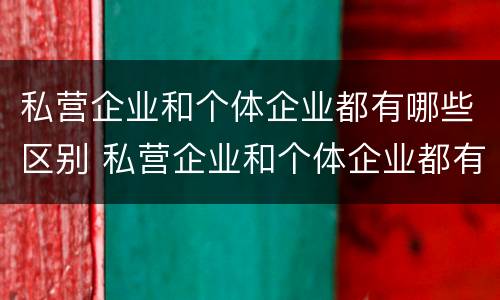 私营企业和个体企业都有哪些区别 私营企业和个体企业都有哪些区别和优势