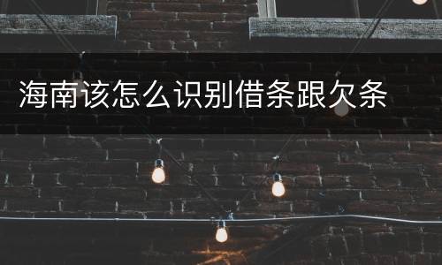 海南该怎么识别借条跟欠条