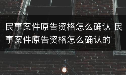 民事案件原告资格怎么确认 民事案件原告资格怎么确认的