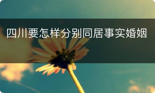 四川要怎样分别同居事实婚姻