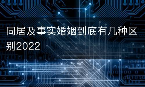 同居及事实婚姻到底有几种区别2022