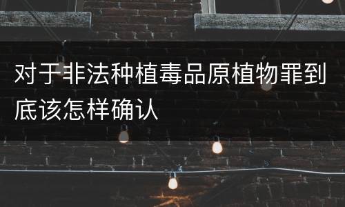 对于非法种植毒品原植物罪到底该怎样确认