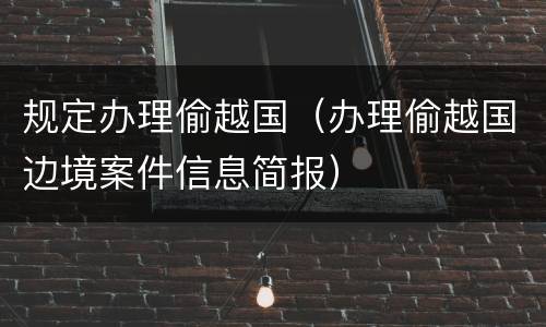 规定办理偷越国（办理偷越国边境案件信息简报）