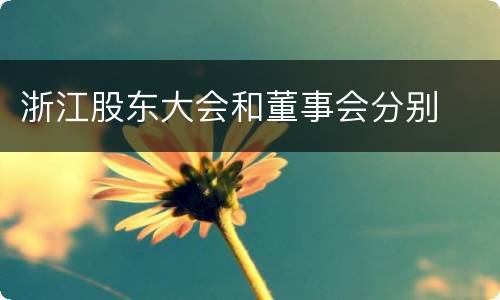浙江股东大会和董事会分别