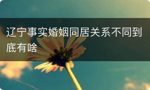 辽宁事实婚姻同居关系不同到底有啥