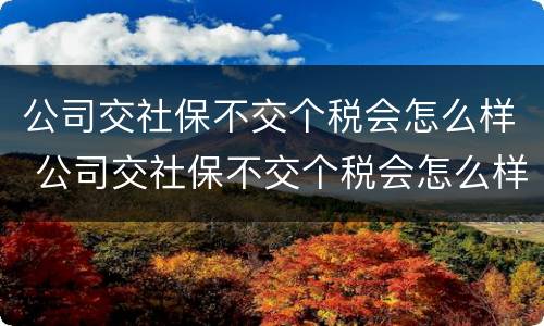 公司交社保不交个税会怎么样 公司交社保不交个税会怎么样嘛