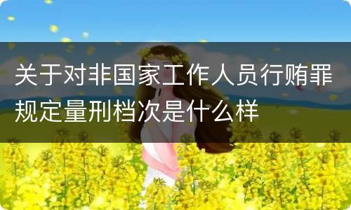 关于对非国家工作人员行贿罪规定量刑档次是什么样