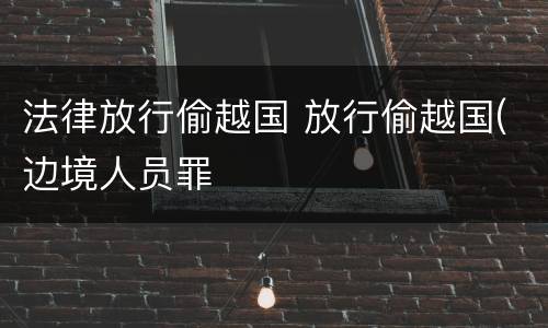 法律放行偷越国 放行偷越国(边境人员罪