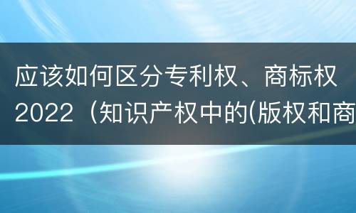 应该如何区分专利权、商标权2022（知识产权中的(版权和商标权与标准）