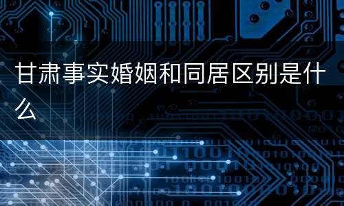 甘肃事实婚姻和同居区别是什么