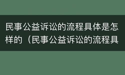 民事公益诉讼的流程具体是怎样的（民事公益诉讼的流程具体是怎样的程序）