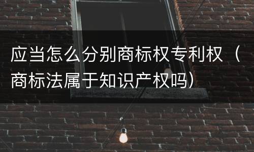 应当怎么分别商标权专利权（商标法属于知识产权吗）