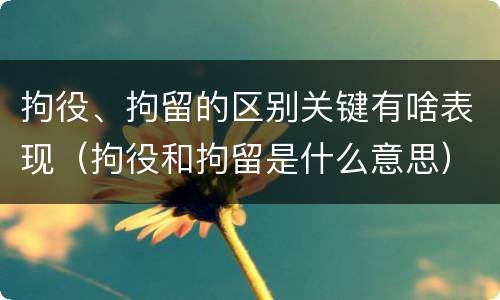 拘役、拘留的区别关键有啥表现（拘役和拘留是什么意思）