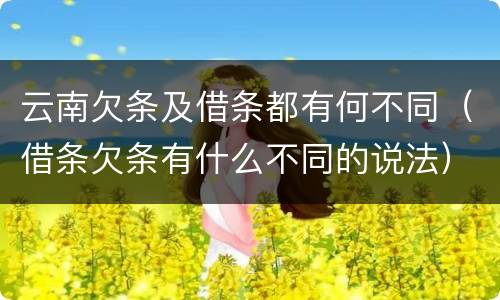 云南欠条及借条都有何不同（借条欠条有什么不同的说法）